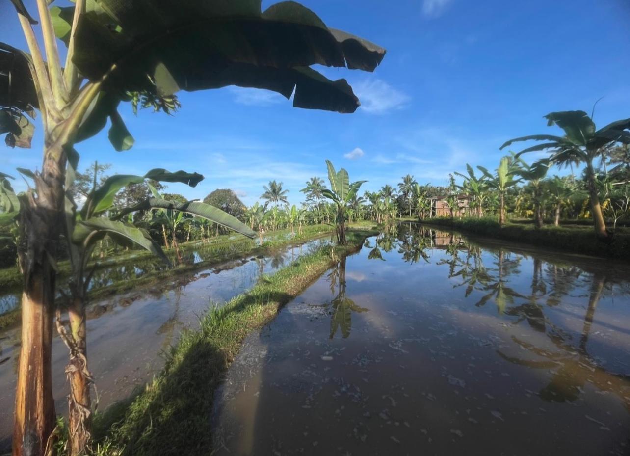 Opik Homestay Tete Batu Tetebatu Luaran gambar