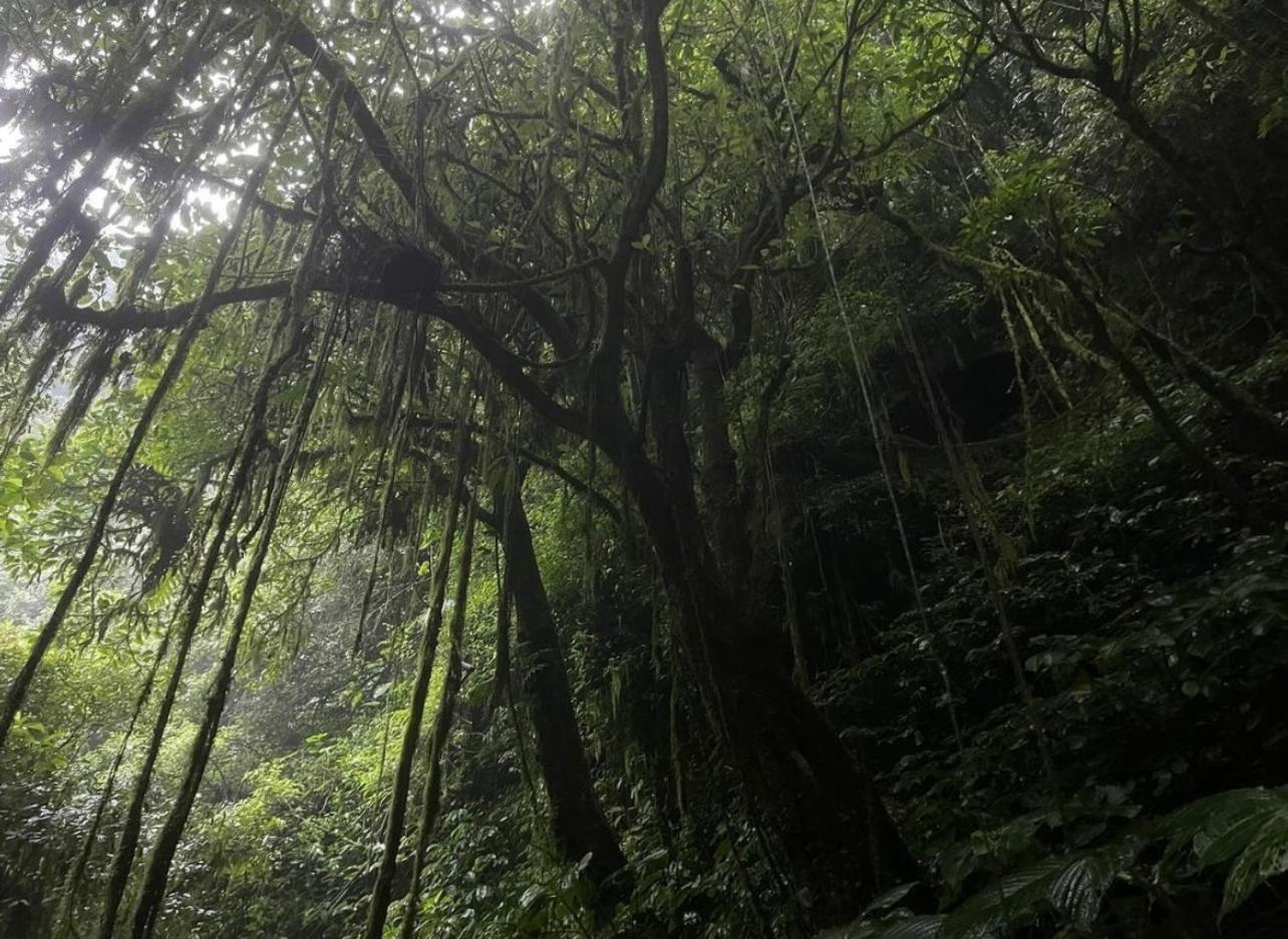 Opik Homestay Tete Batu Tetebatu Luaran gambar