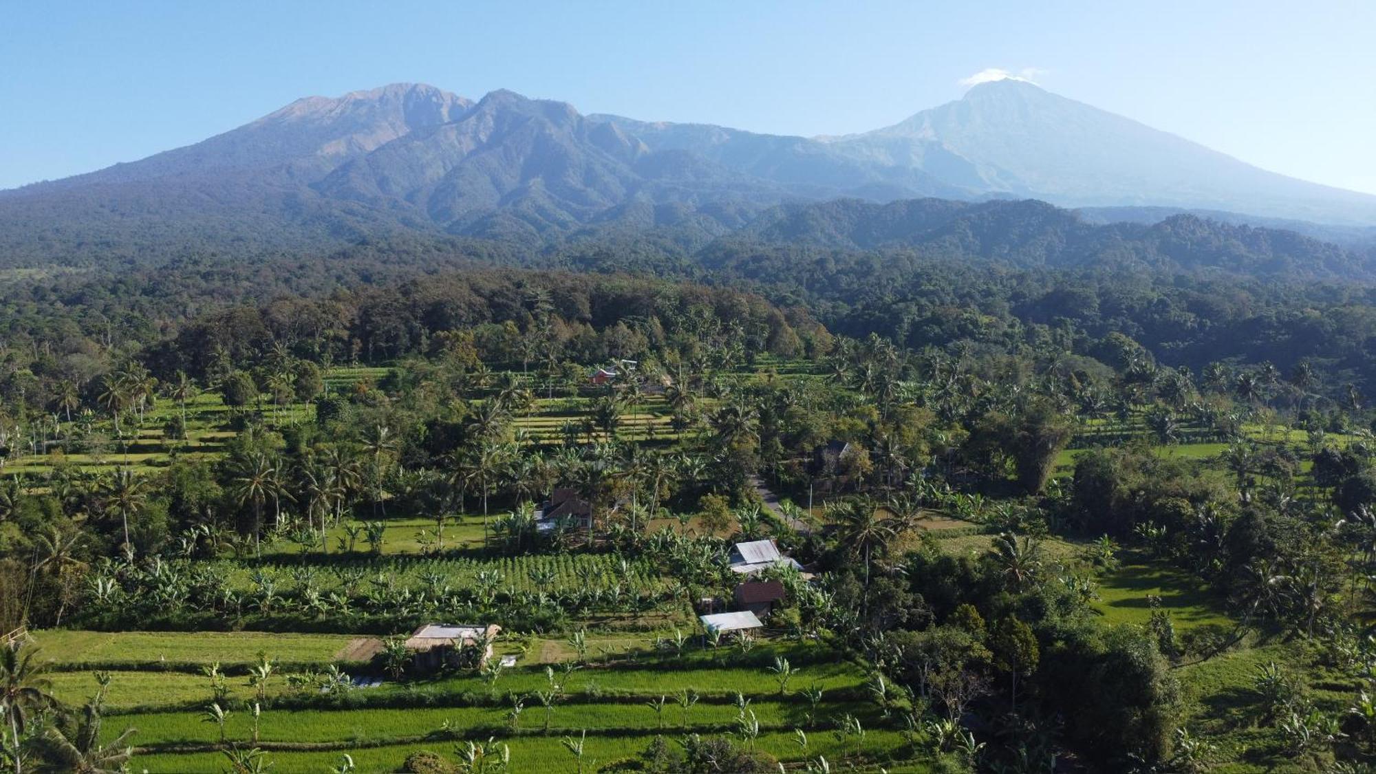 Opik Homestay Tete Batu Tetebatu Luaran gambar