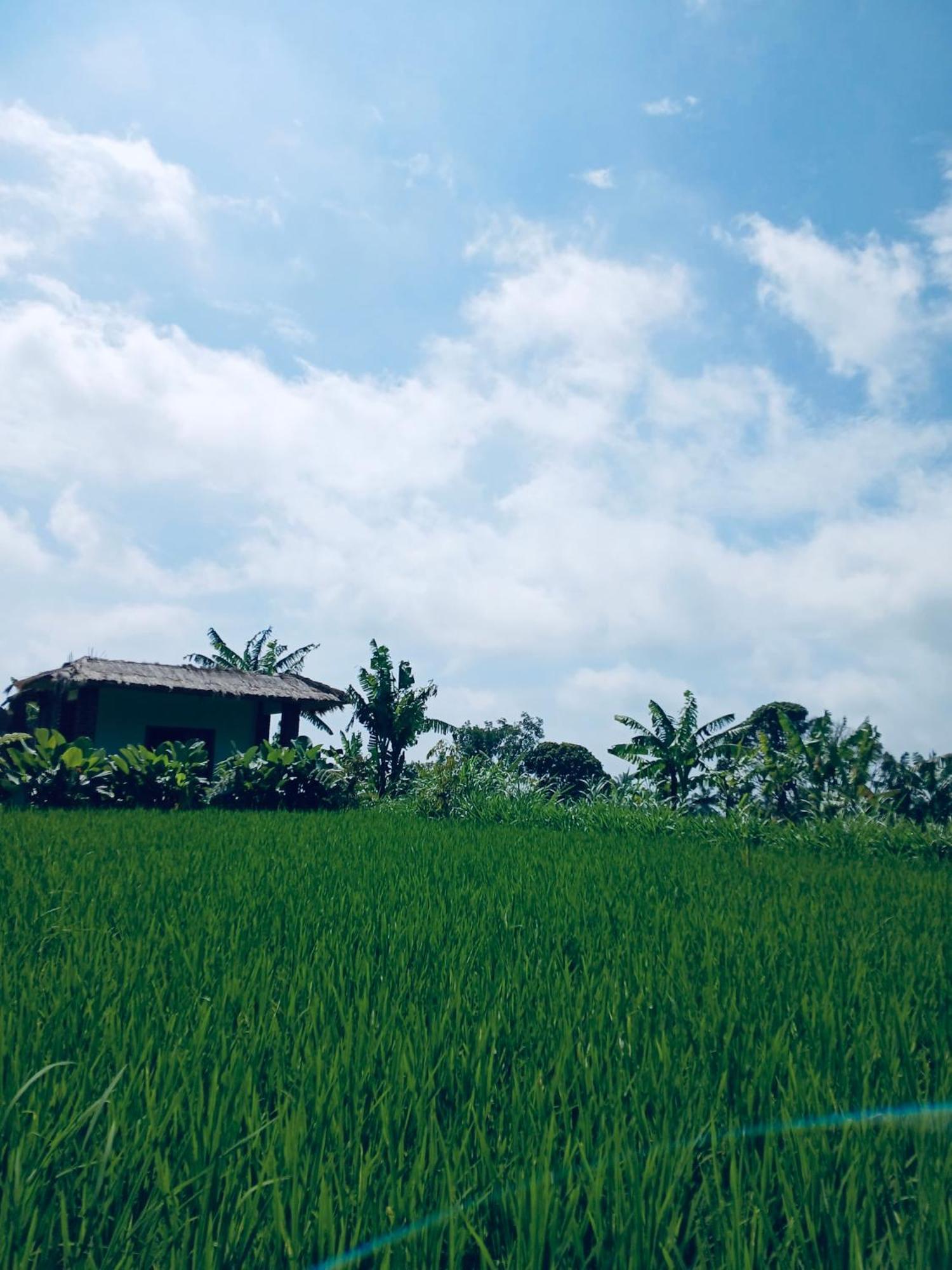 Opik Homestay Tete Batu Tetebatu Luaran gambar